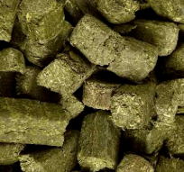 Cubos de Alfalfa