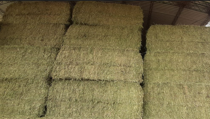 Mega Fardos de Alfalfa