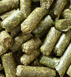 Pellets de Alfalfa